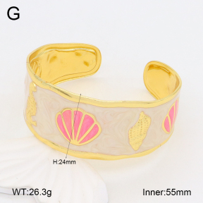 2BA300503bvpl-434  Stainless Steel Bangle