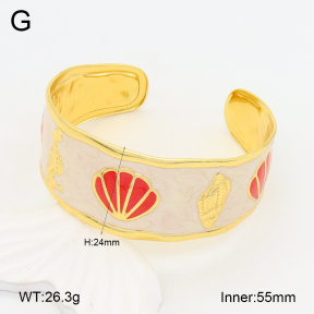 2BA300504bvpl-434  Stainless Steel Bangle