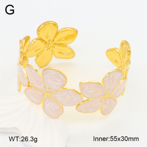 2BA300507bvpl-434  Stainless Steel Bangle