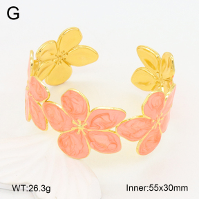 2BA300508bvpl-434  Stainless Steel Bangle