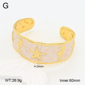 2BA300509bvpl-434  Stainless Steel Bangle