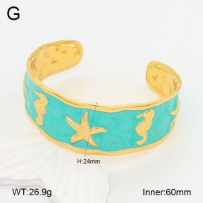 2BA300510bvpl-434  Stainless Steel Bangle