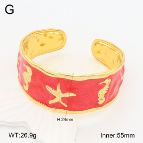 2BA300511bvpl-434  Stainless Steel Bangle