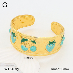 2BA300513bvpl-434  Stainless Steel Bangle