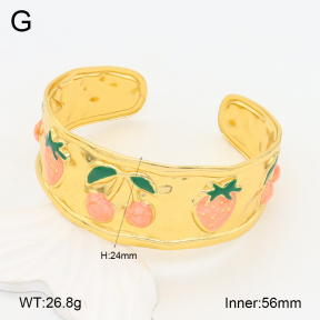 2BA300514bvpl-434  Stainless Steel Bangle