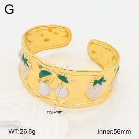 2BA300515bvpl-434  Stainless Steel Bangle