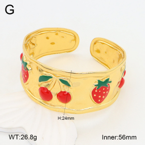 2BA300516bvpl-434  Stainless Steel Bangle