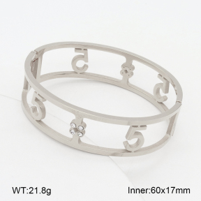 2BA402341vhha-749  Stainless Steel Bangle