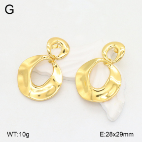 2E2006235vbmb-434  Stainless Steel Earrings