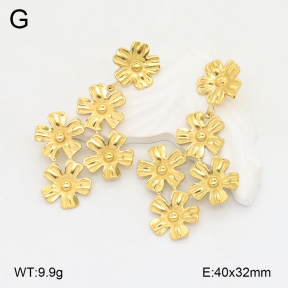 2E2006238vbpb-434  Stainless Steel Earrings