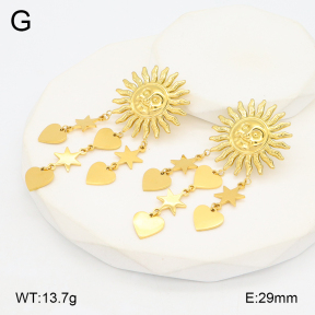 2E2006239bhil-434  Stainless Steel Earrings