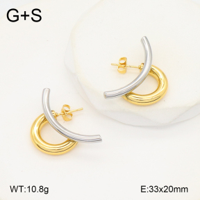2E2006241ablb-434  Stainless Steel Earrings