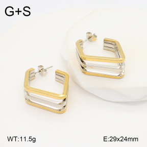 2E2006242ablb-434  Stainless Steel Earrings