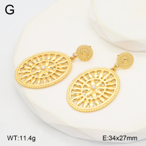 2E3003663vbmb-434  Stainless Steel Earrings