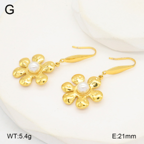 2E3003664aakl-434  Stainless Steel Earrings