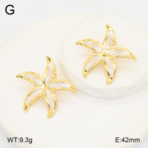 2E3003665aakl-434  Stainless Steel Earrings