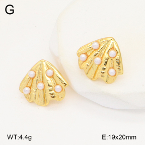 2E3003667aakl-434  Stainless Steel Earrings
