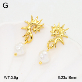 2E3003668aakl-434  Stainless Steel Earrings