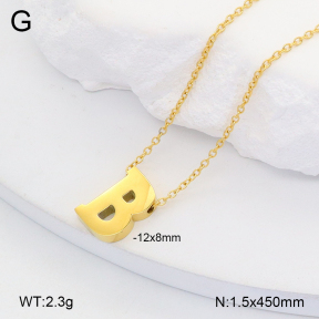 2N2006501vail-749  Stainless Steel Necklace