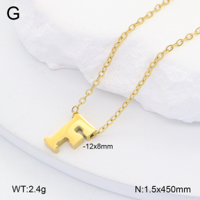 2N2006503vail-749  Stainless Steel Necklace