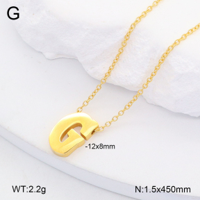 2N2006504vail-749  Stainless Steel Necklace