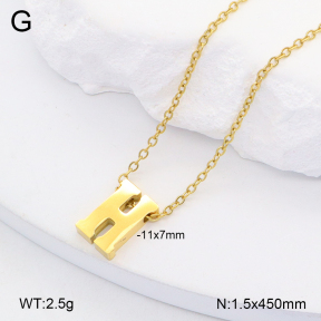 2N2006505vail-749  Stainless Steel Necklace