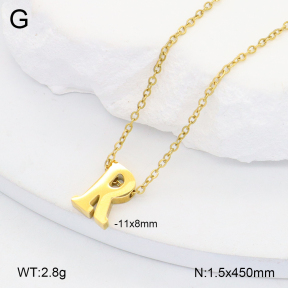 2N2006512vail-749  Stainless Steel Necklace