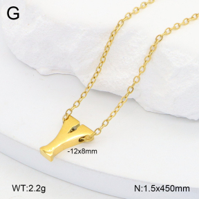 2N2006516vail-749  Stainless Steel Necklace