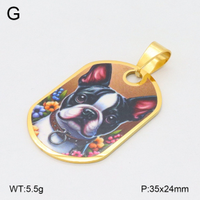 2P3000662aahl-355  Stainless Steel Pendant
