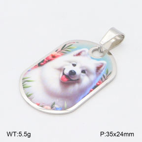 2P3000663aaha-355  Stainless Steel Pendant