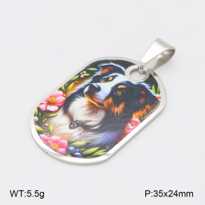 2P3000665aaha-355  Stainless Steel Pendant