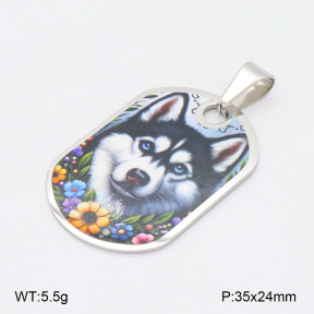 2P3000666aaha-355  Stainless Steel Pendant