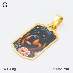 2P3000667aahl-355  Stainless Steel Pendant