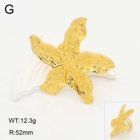 2R2002035aajl-434  Stainless Steel Ring