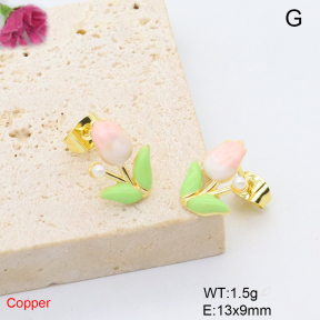 F6E302090baka-L017  Fashion Copper Earrings