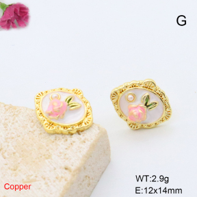 F6E302091baka-L017  Fashion Copper Earrings