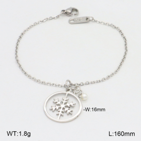 2B3004084ablb-721  Stainless Steel Bracelet