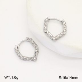 2E2006243bhva-226  Stainless Steel Earrings