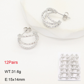 2E2006244bmmb-256  Stainless Steel Earrings