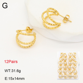 2E2006245bnob-256  Stainless Steel Earrings