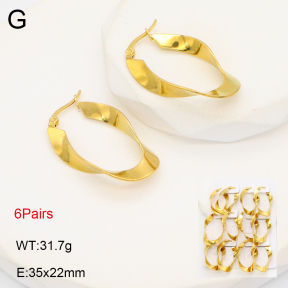 2E2006246akia-256  Stainless Steel Earrings