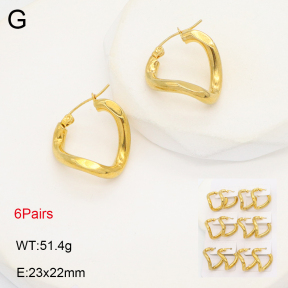 2E2006248ajpa-256  Stainless Steel Earrings