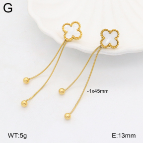 2E3003670bbml-452  Stainless Steel Earrings