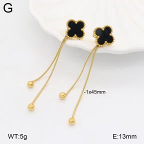 2E4004505bbml-452  Stainless Steel Earrings