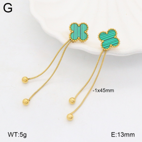 2E4004506bbml-452  Stainless Steel Earrings