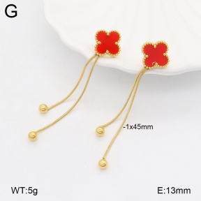 2E4004507bbml-452  Stainless Steel Earrings