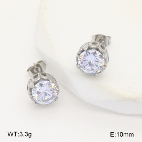 2E4004508bhva-226  Stainless Steel Earrings