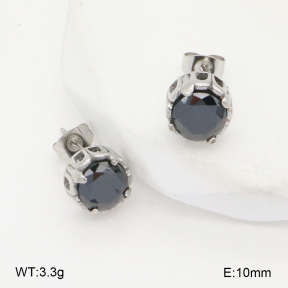 2E4004509bhva-226  Stainless Steel Earrings