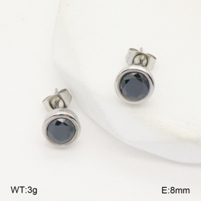 2E4004510bbov-226  Stainless Steel Earrings