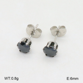 2E4004512ablb-226  Stainless Steel Earrings
